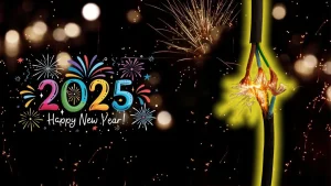 2025 HAPPY NEW YEAR!!!