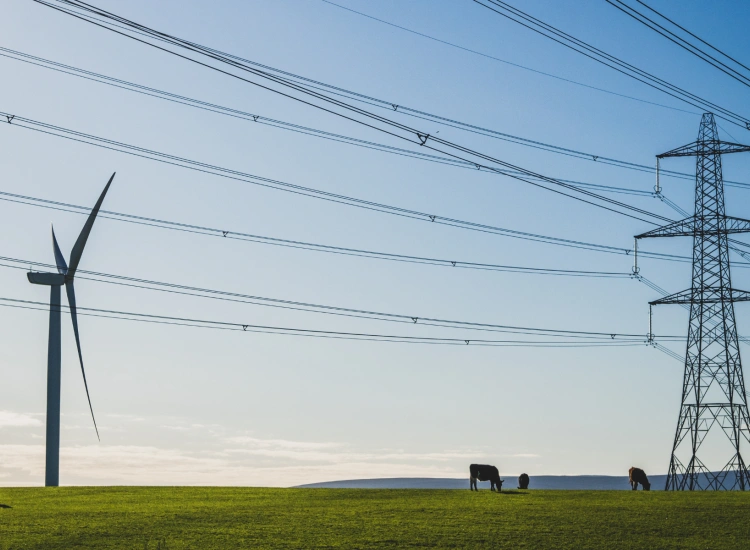 Rural power distribution network